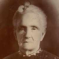 Mary Bayless (1833 - 1916) Profile
